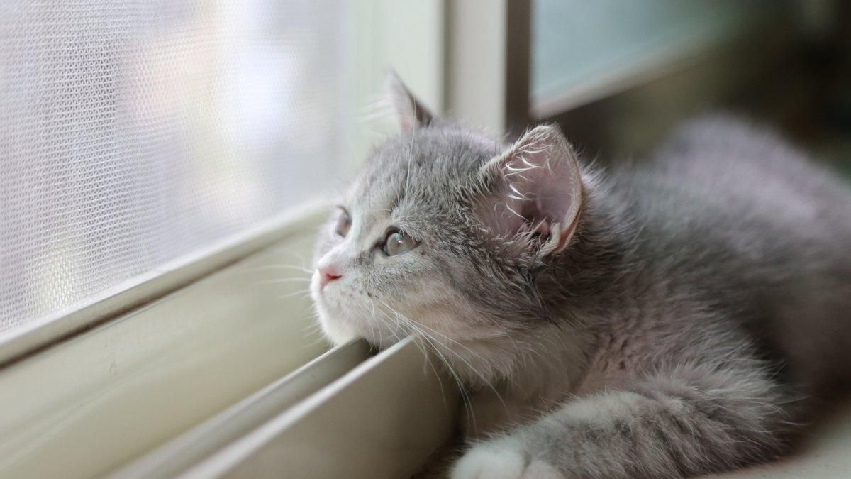 Погода 22 марта 2021: прогноз от синоптиков Украины Погода 22 марта 2021: прогноз от синоптиков Украины