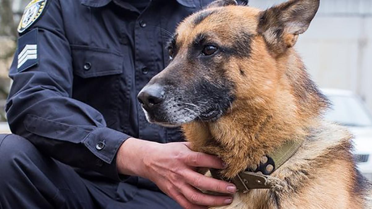 В урядовому кварталі Києва шукають вибухівку В урядовому кварталі Києва шукають вибухівку