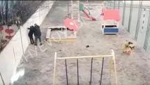 Мужчина бил 9-летнего парня на детской площадке под Днепром: видео
