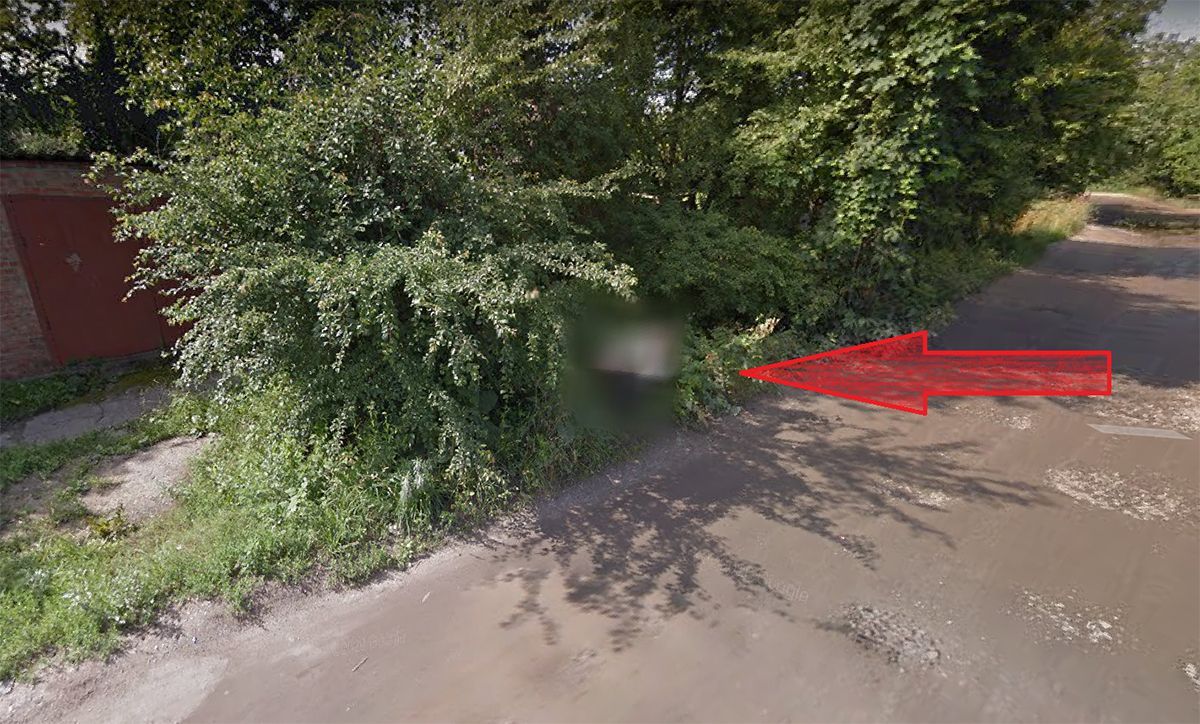На фото Google Maps у Харкові виявили чоловіка, що какав в кущах: відео