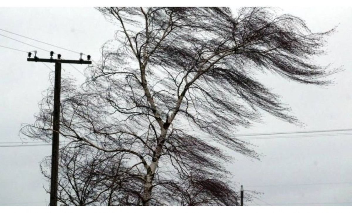 Синоптики предупреждают о шторме в столице 24 марта Синоптики предупреждают о шторме в столице 24 марта