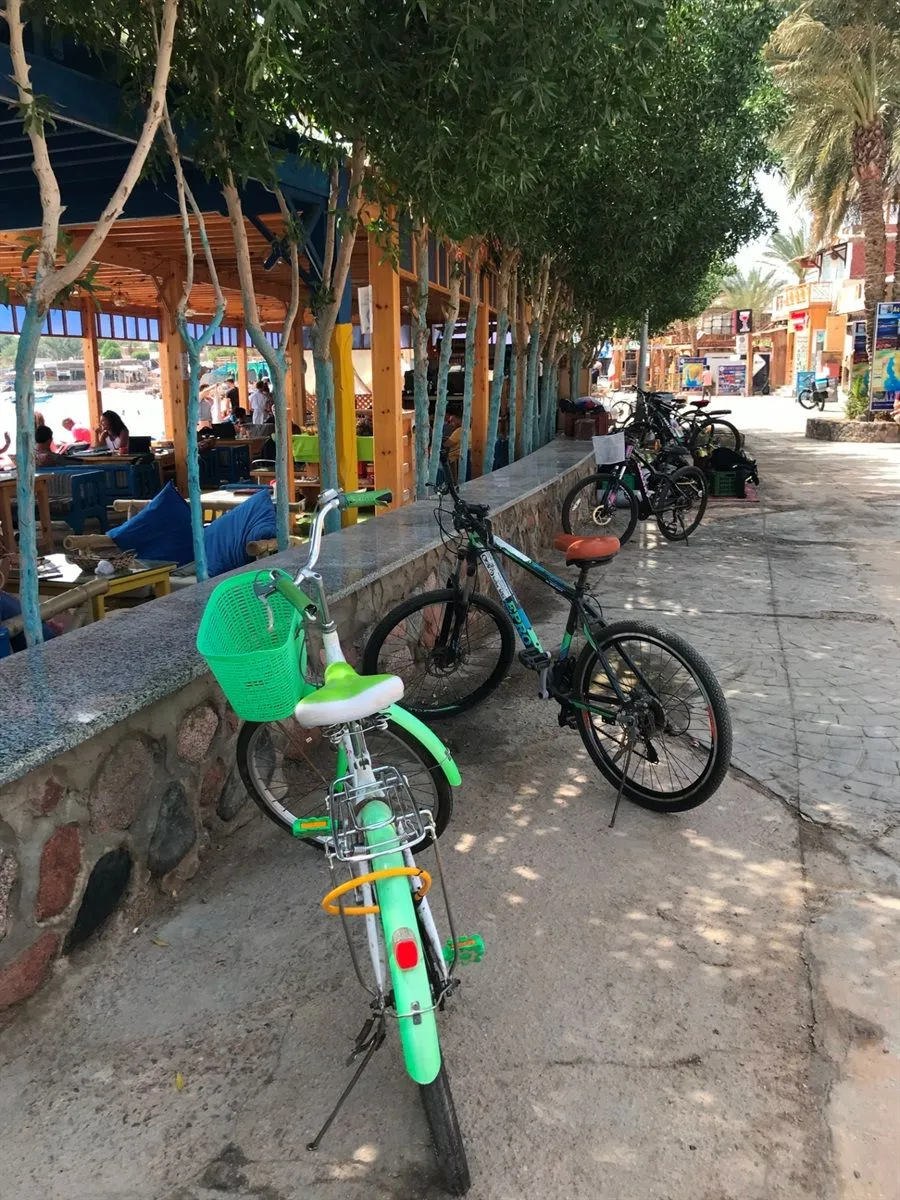 дахаб єгипет відпочинок у єгипті дахаб єгипет відпочинок у єгипті