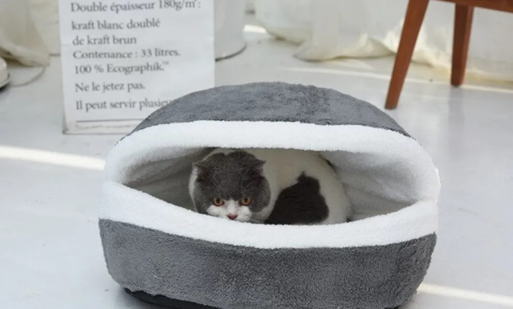 Будинок мушля Будинок мушля