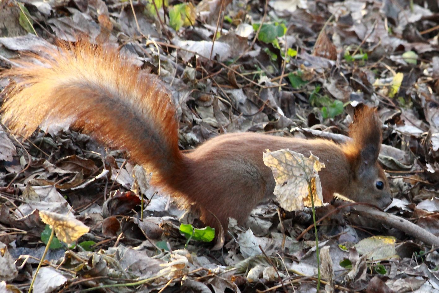 Погода 26 марта 2021: прогноз от синоптиков Украины Погода 26 марта 2021: прогноз от синоптиков Украины