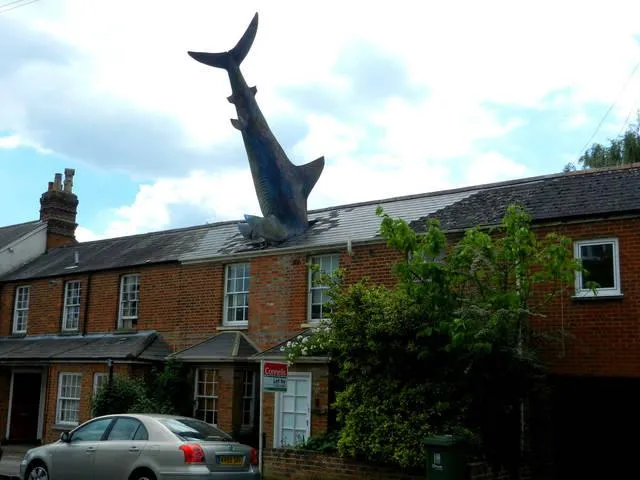 Будинок з акулою Будинок з акулою