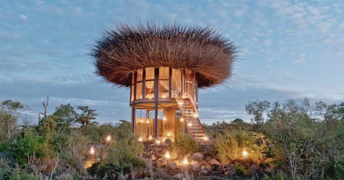 Готель у вигляді пташиного гнізда Готель у вигляді пташиного гнізда