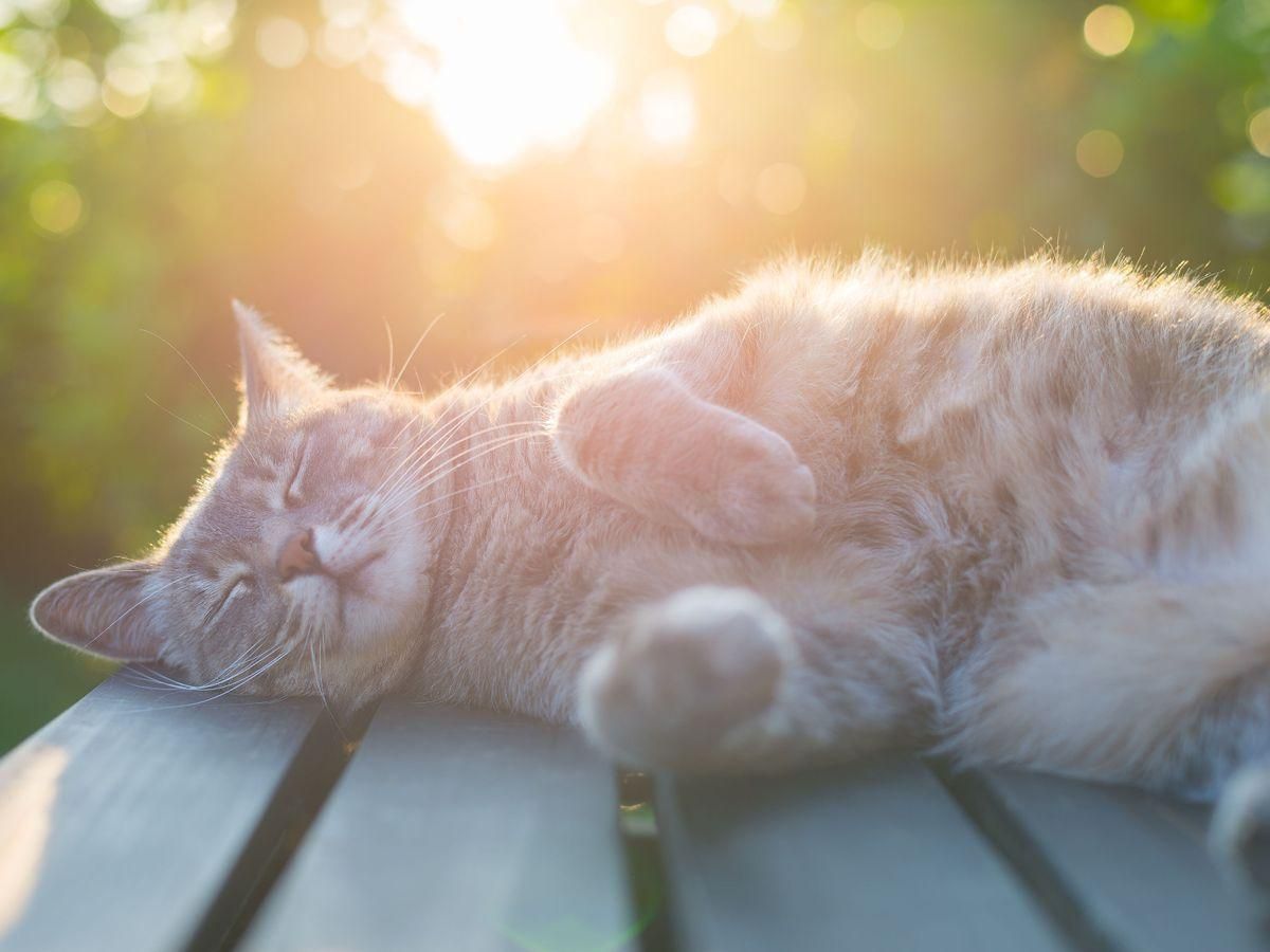 Погода 27 марта 2021: прогноз от синоптиков Украины Погода 27 марта 2021: прогноз от синоптиков Украины