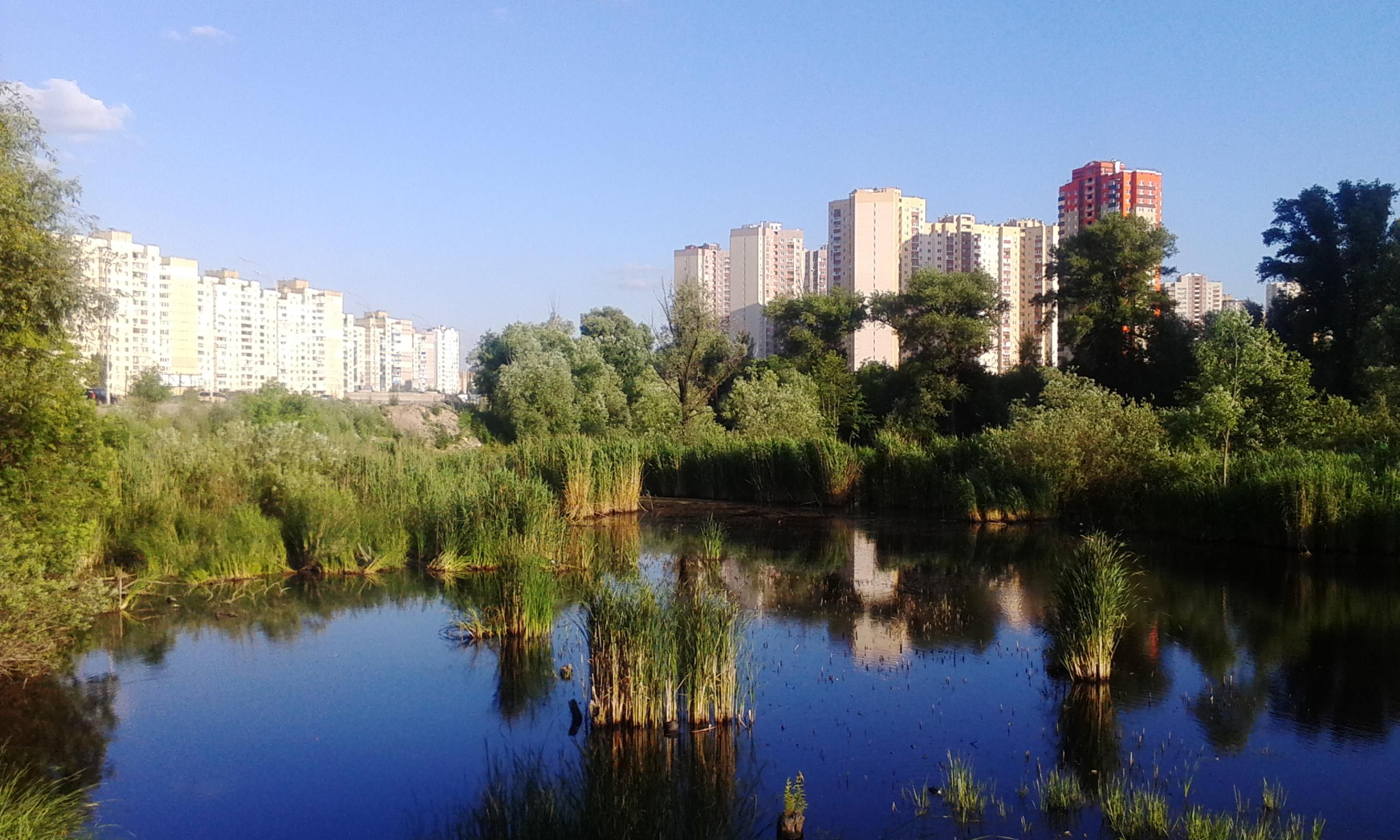 В Киеве снова хотят уничтожить озеро Утиное
