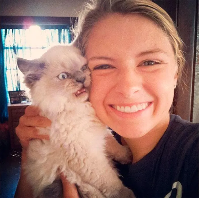 Припиніть негайно Припиніть негайно