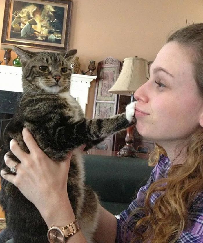 Жодних поцілунків Жодних поцілунків