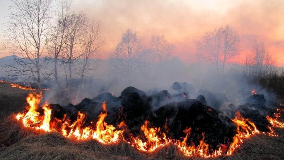 За добу – 70 гектарів згорілої землі: чому не можна палити траву 
