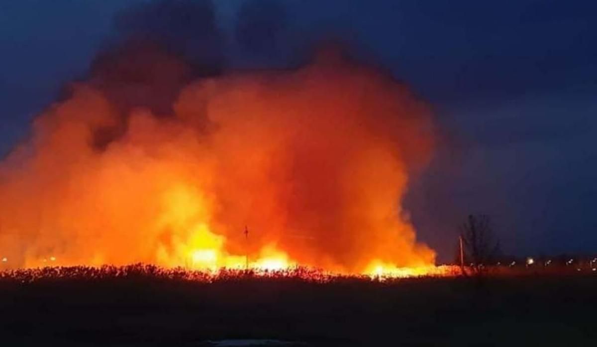 В Ізмаїлі горіло Леб'яже озеро: вогонь охопив понад 2 гектари