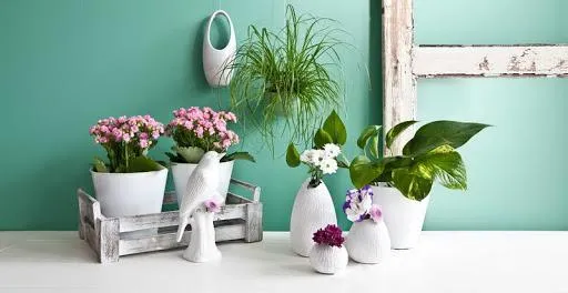 Простий декор допоможе створити чудову атмосферу Простий декор допоможе створити чудову атмосферу