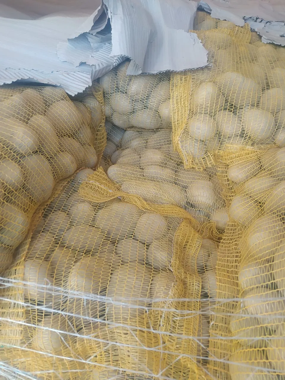 Митники конфіскували понад 2 тонни контрабандної картоплі: фото
