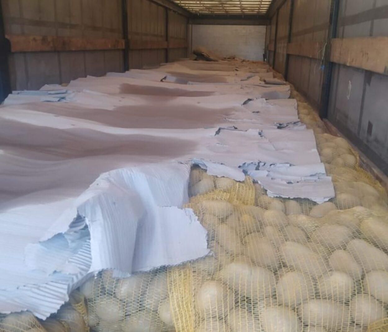Рекордная партия: таможенники конфисковали свыше 2 тонн контрабандной картофеля - фото 