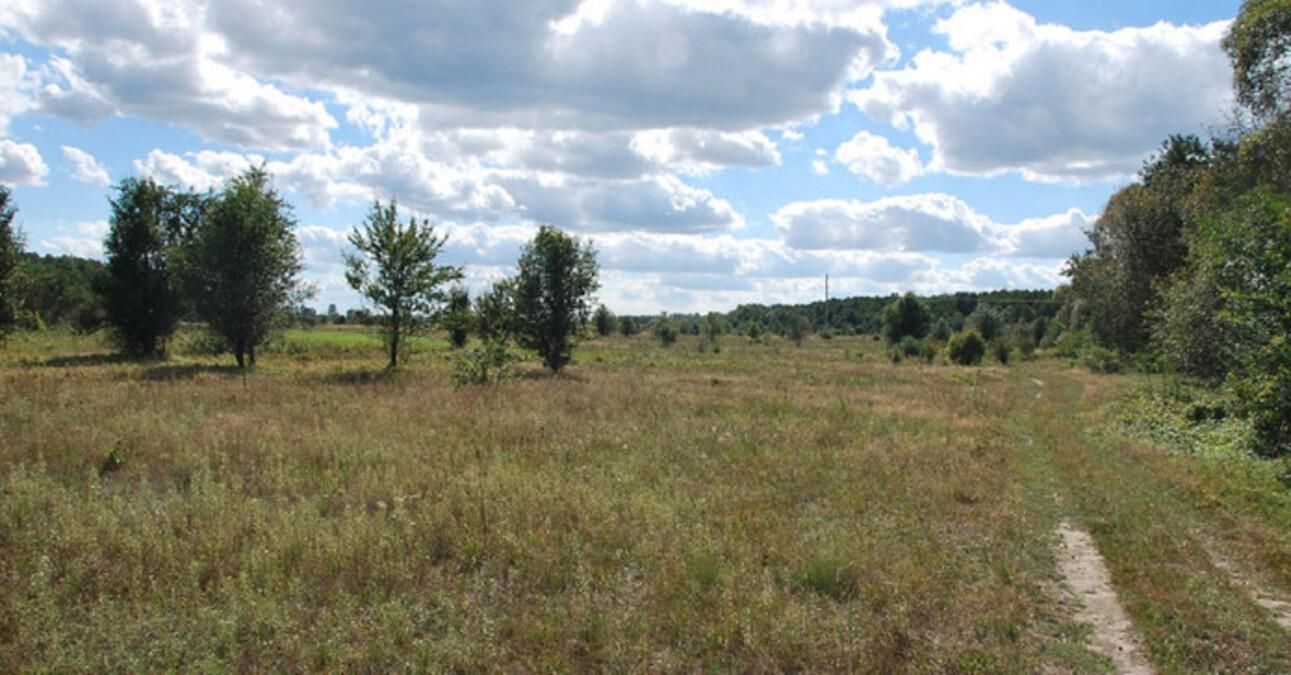 Біля Нового Роздолу діти знайшли рештки зниклої 33-річної жінки Біля Нового Роздолу діти знайшли рештки зниклої 33-річної жінки