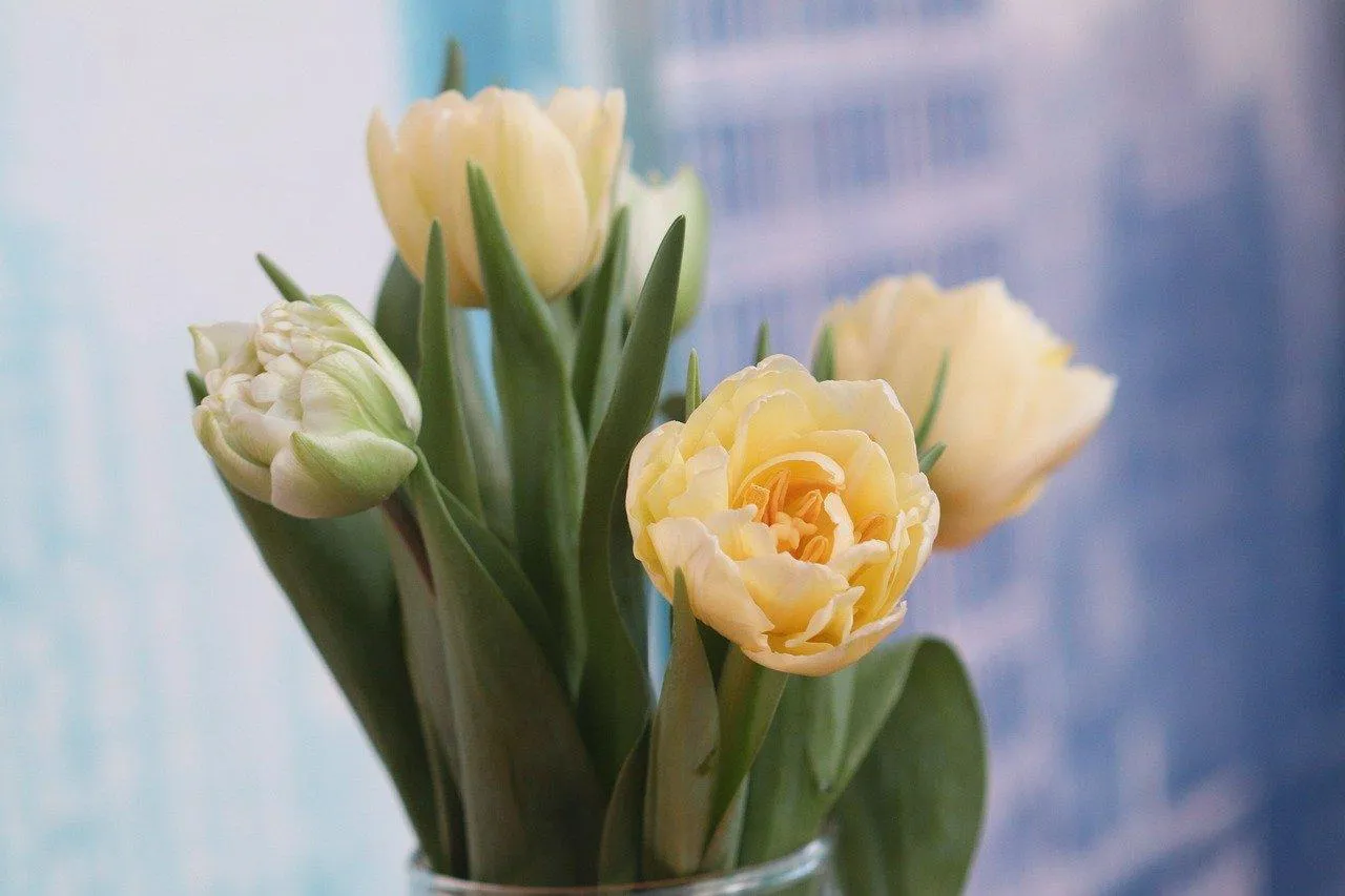 2 квітня яке свято 2 квітня яке свято