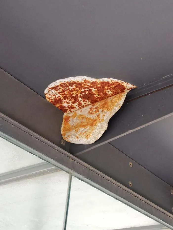 Ржавчина Ржавчина