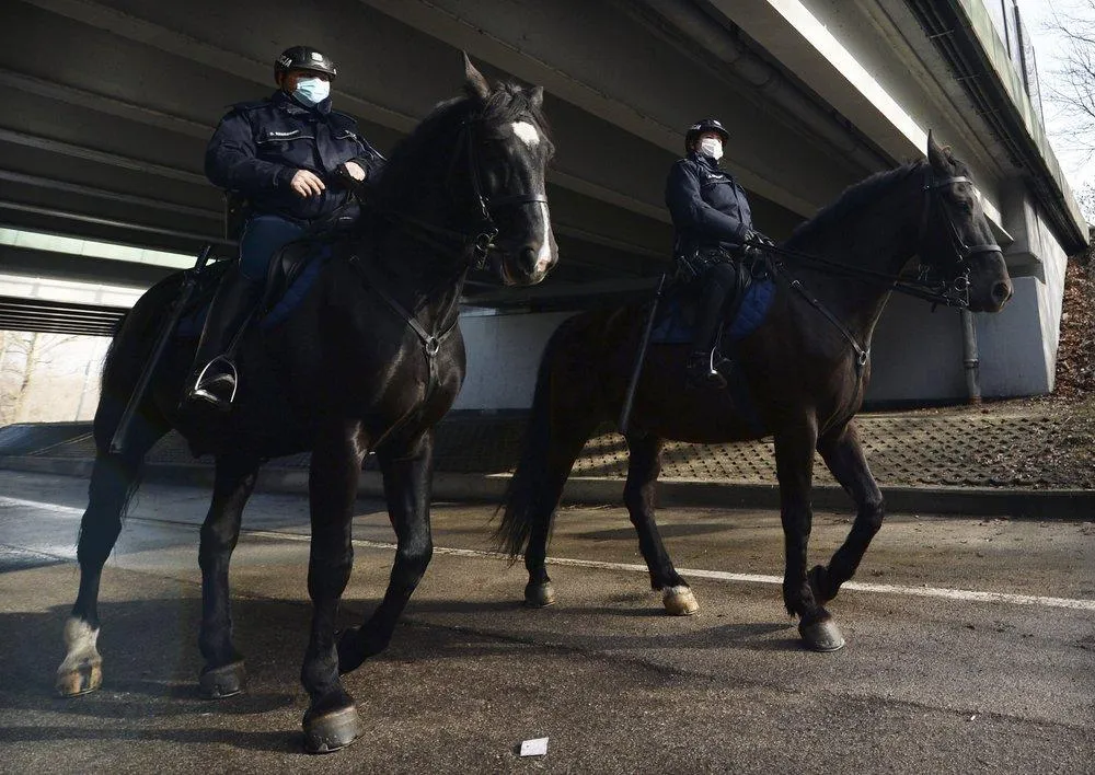 Коні допомагають поліцейським патрулювати вулиці