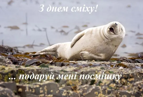 Привітання з Днем сміху приколи Привітання з Днем сміху приколи