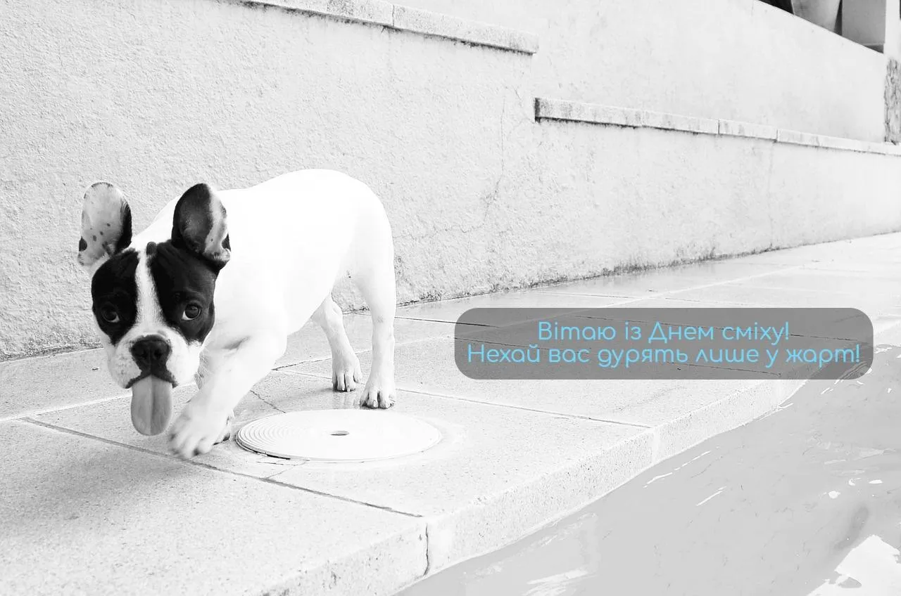 Вітаю з Днем сміху Вітаю з Днем сміху