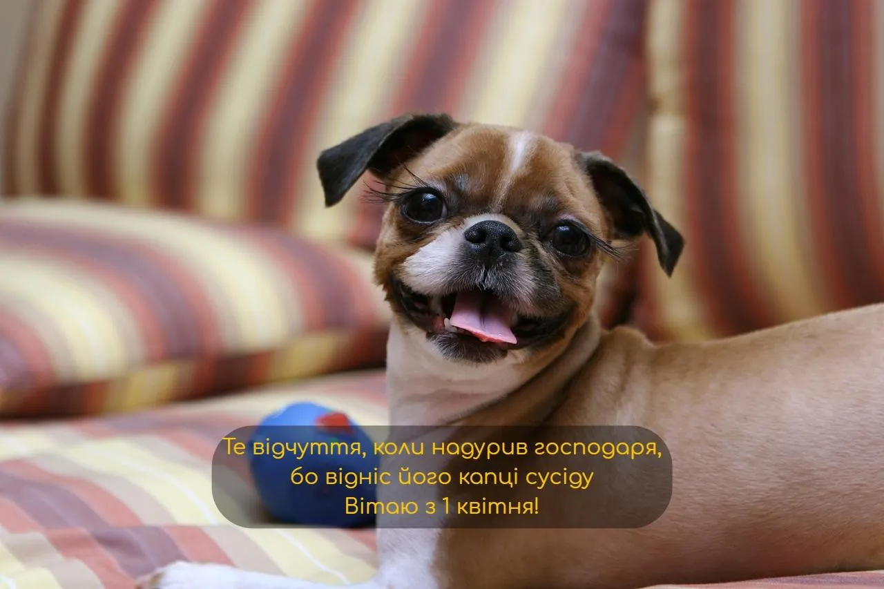 Жарти на 1 квітня Жарти на 1 квітня