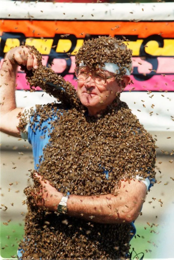 Управитель бджолами Управитель бджолами