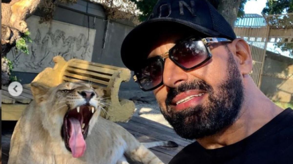 Харківський депутат задекларував живого лева: фото тварини Харківський депутат задекларував живого лева: фото тварини