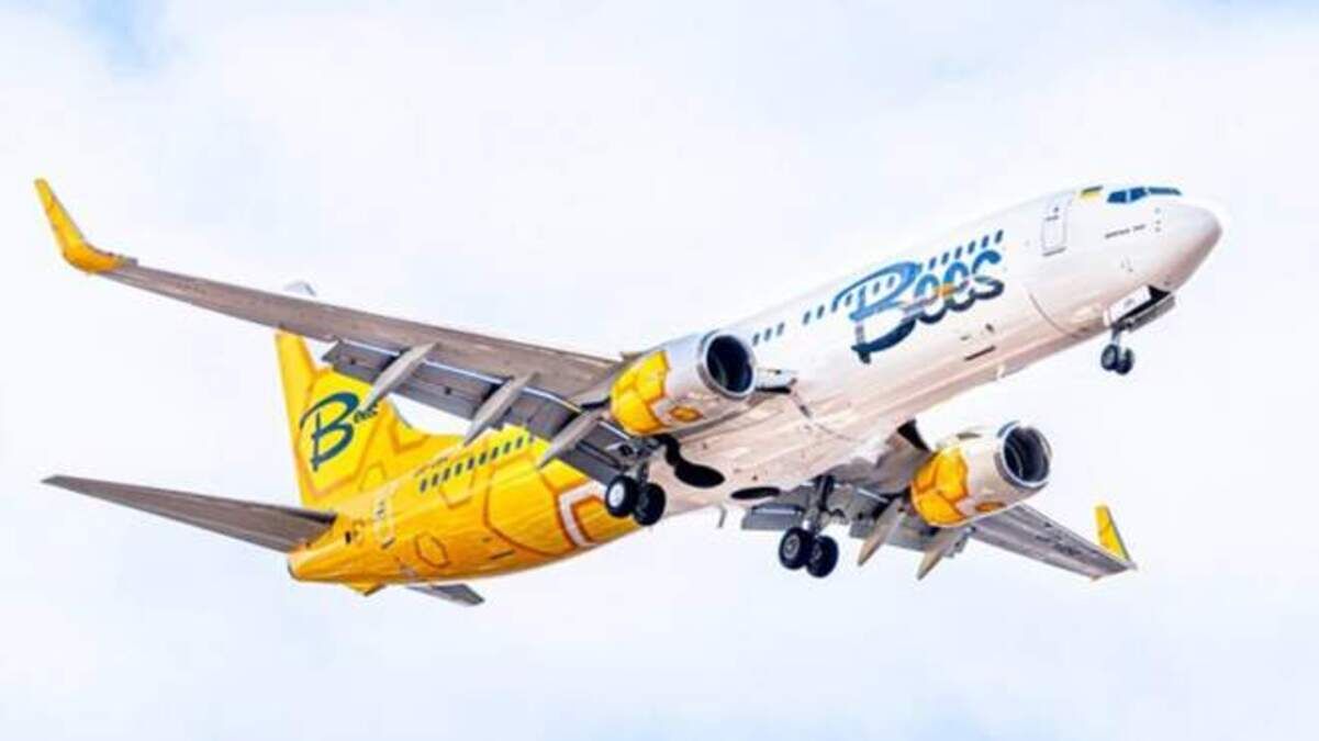 Скільки коштують авіаквитки Bees Airline