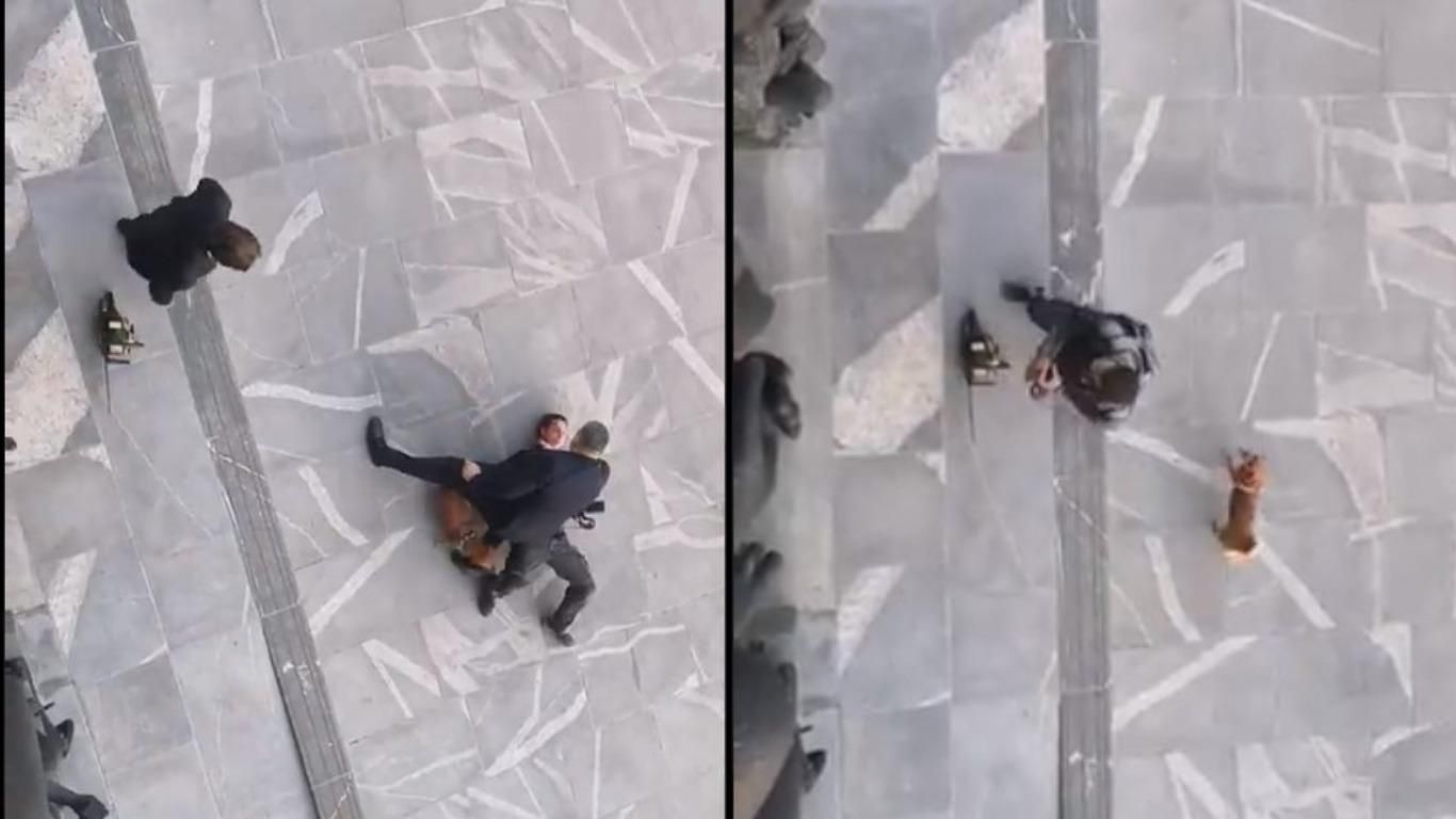 Бензопила и собака: в Словении мужчина протестовал у парламента Бензопила и собака: в Словении мужчина протестовал у парламента