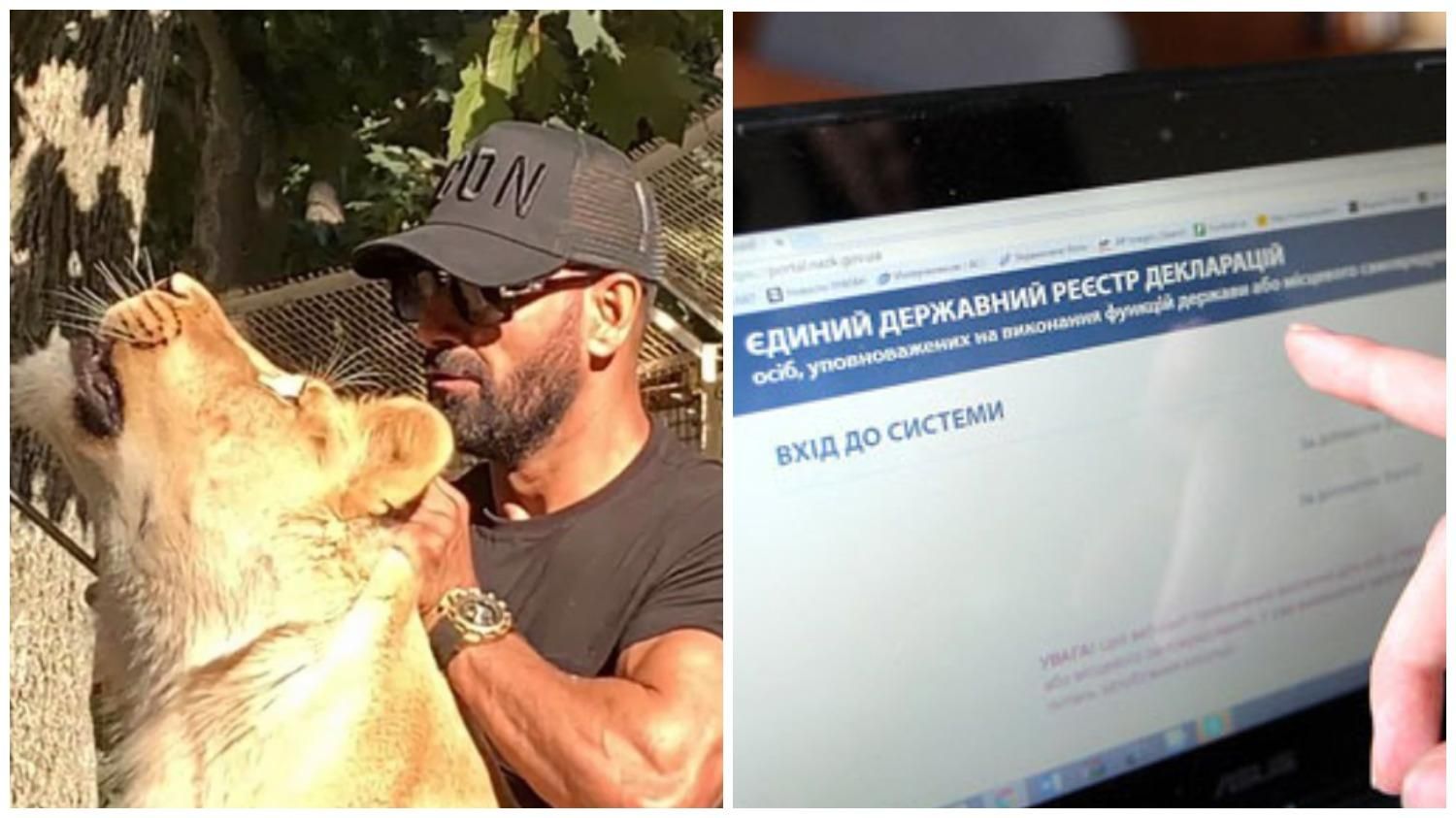 Африканский лев и коллекция картин: что декларировали чиновники Африканский лев и коллекция картин: что декларировали чиновники