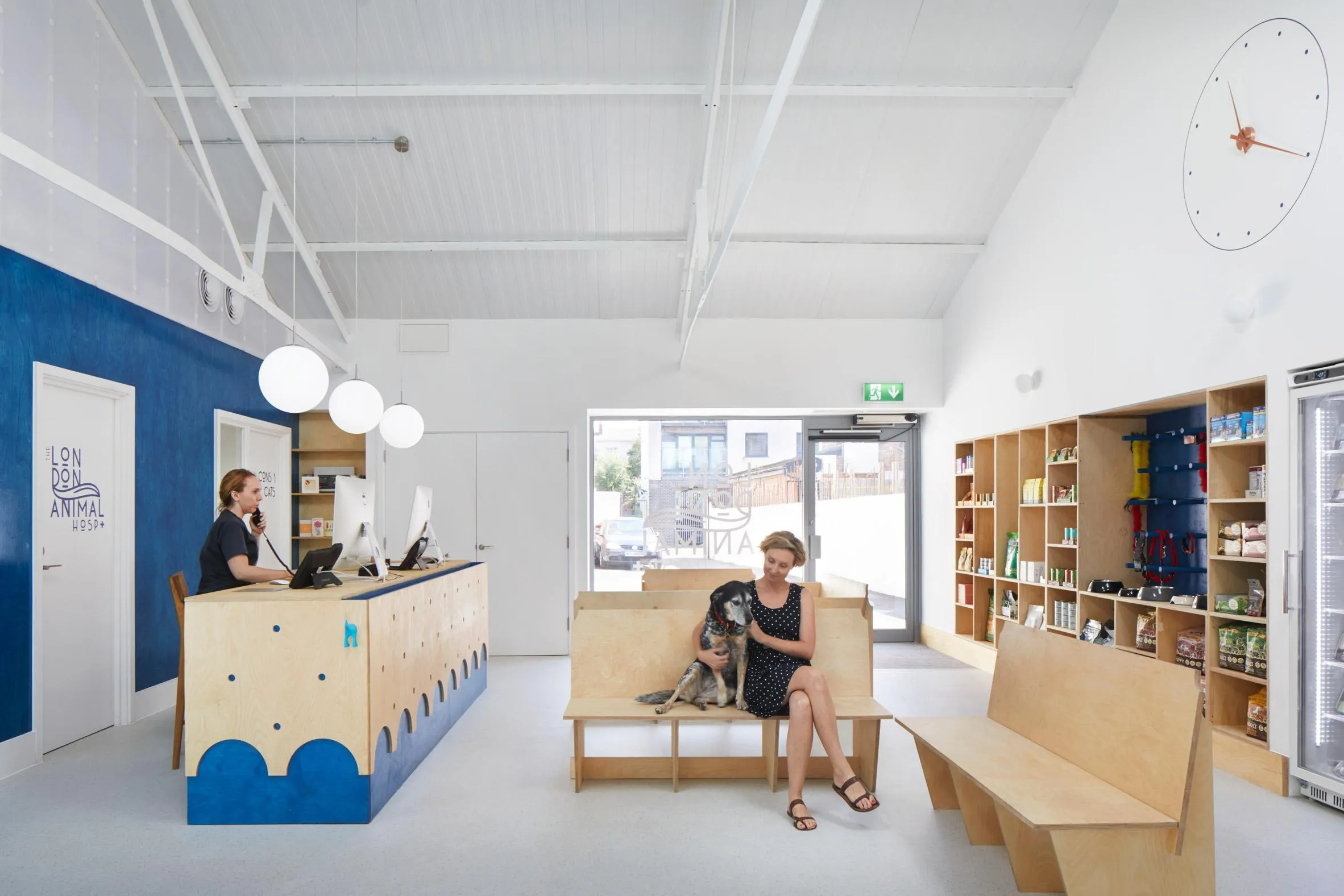 Хозяйка с собакой сидят на специальной мебели Хозяйка с собакой сидят на специальной мебели