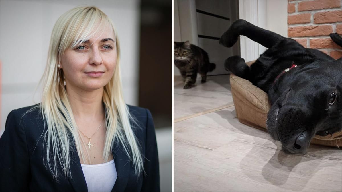 Устинова задекларировала котика-муркотика и собаку-тапки-погризяку Устинова задекларировала котика-муркотика и собаку-тапки-погризяку