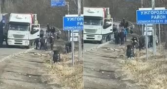 Далекобійники побились біля Ужгорода через корупцію: відео