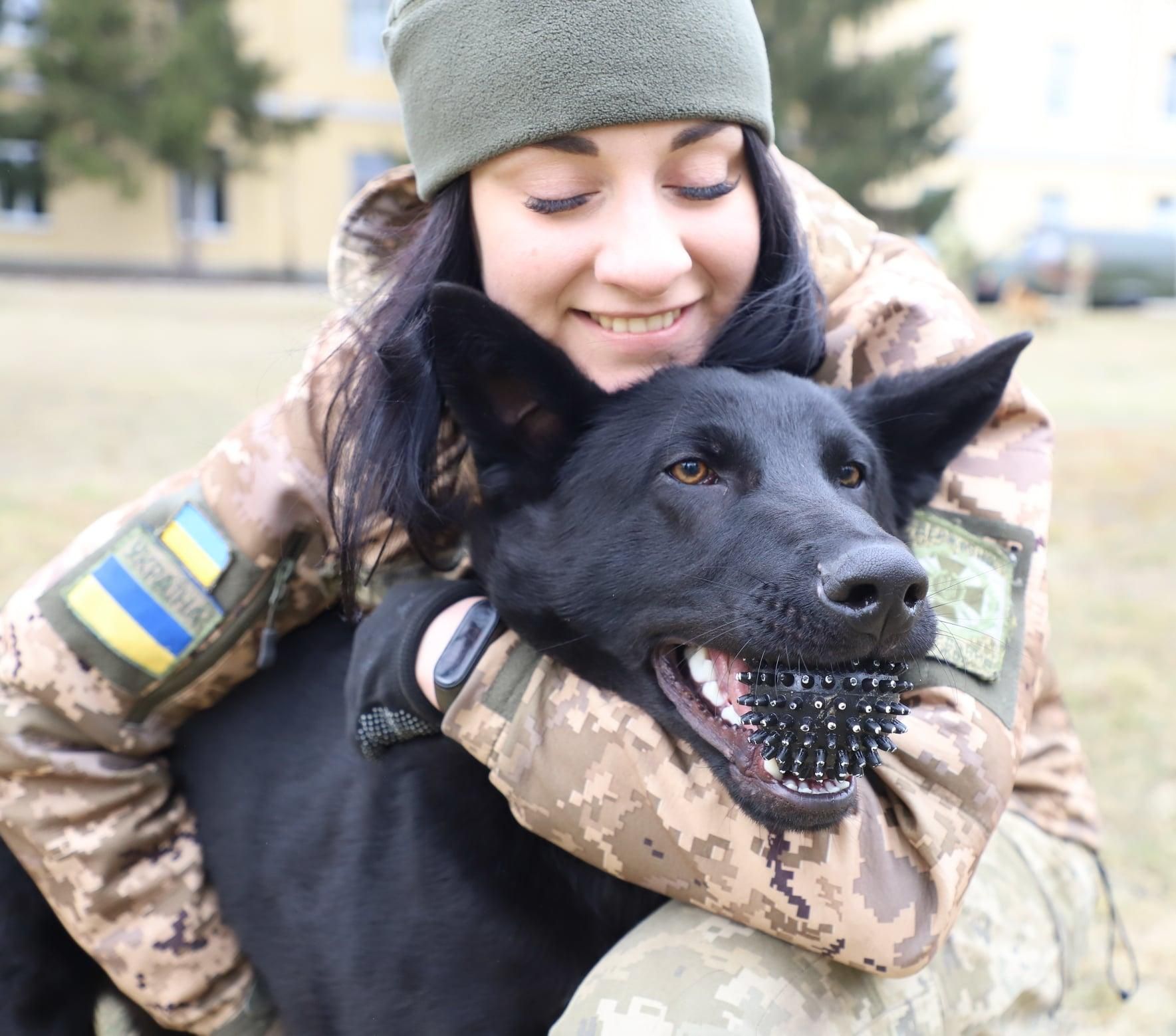 День кінолога в Україні 2 квітня: фото, відео