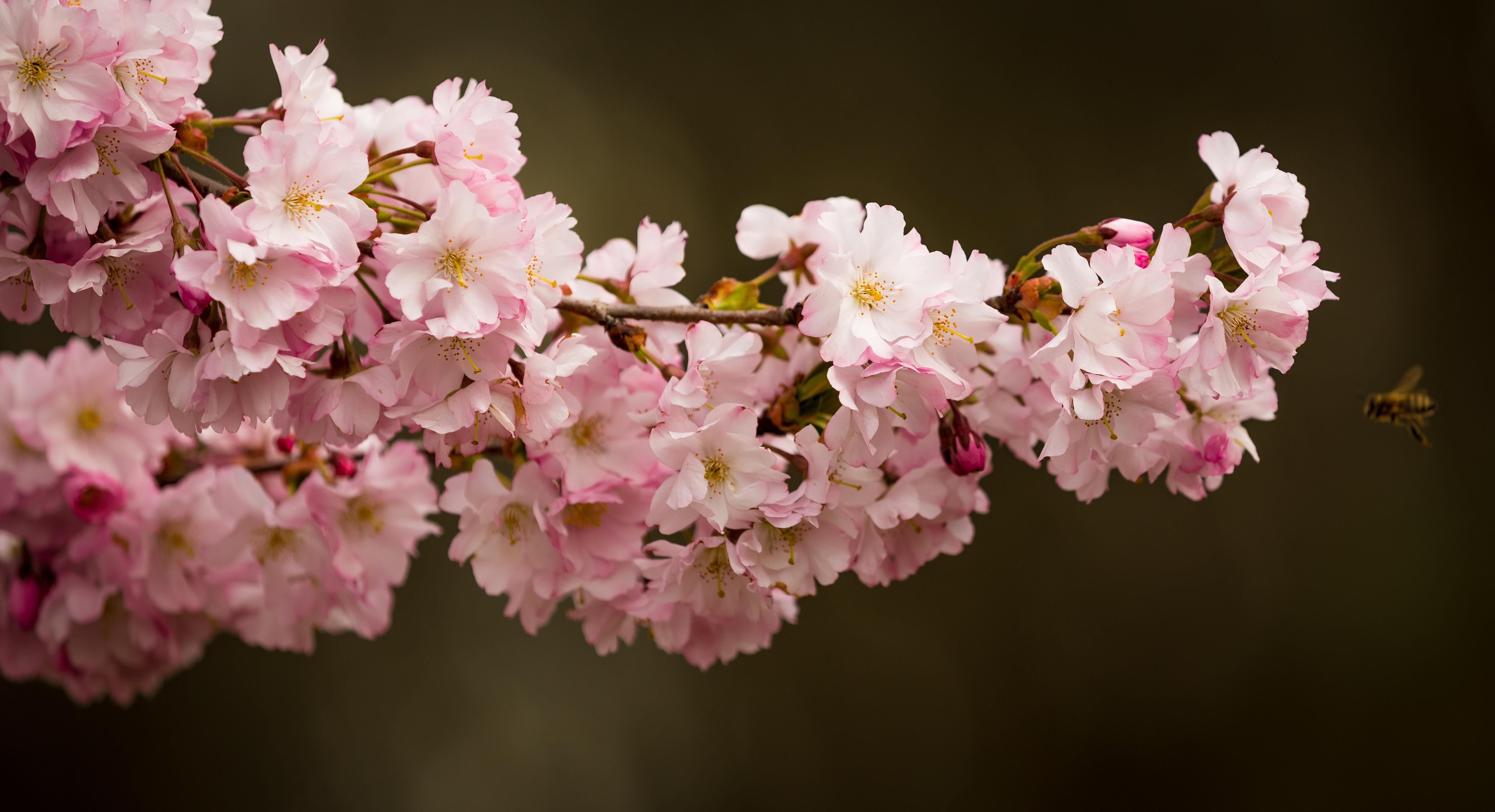 Погода 5 апреля 2021: прогноз от синоптиков Украины Погода 5 апреля 2021: прогноз от синоптиков Украины