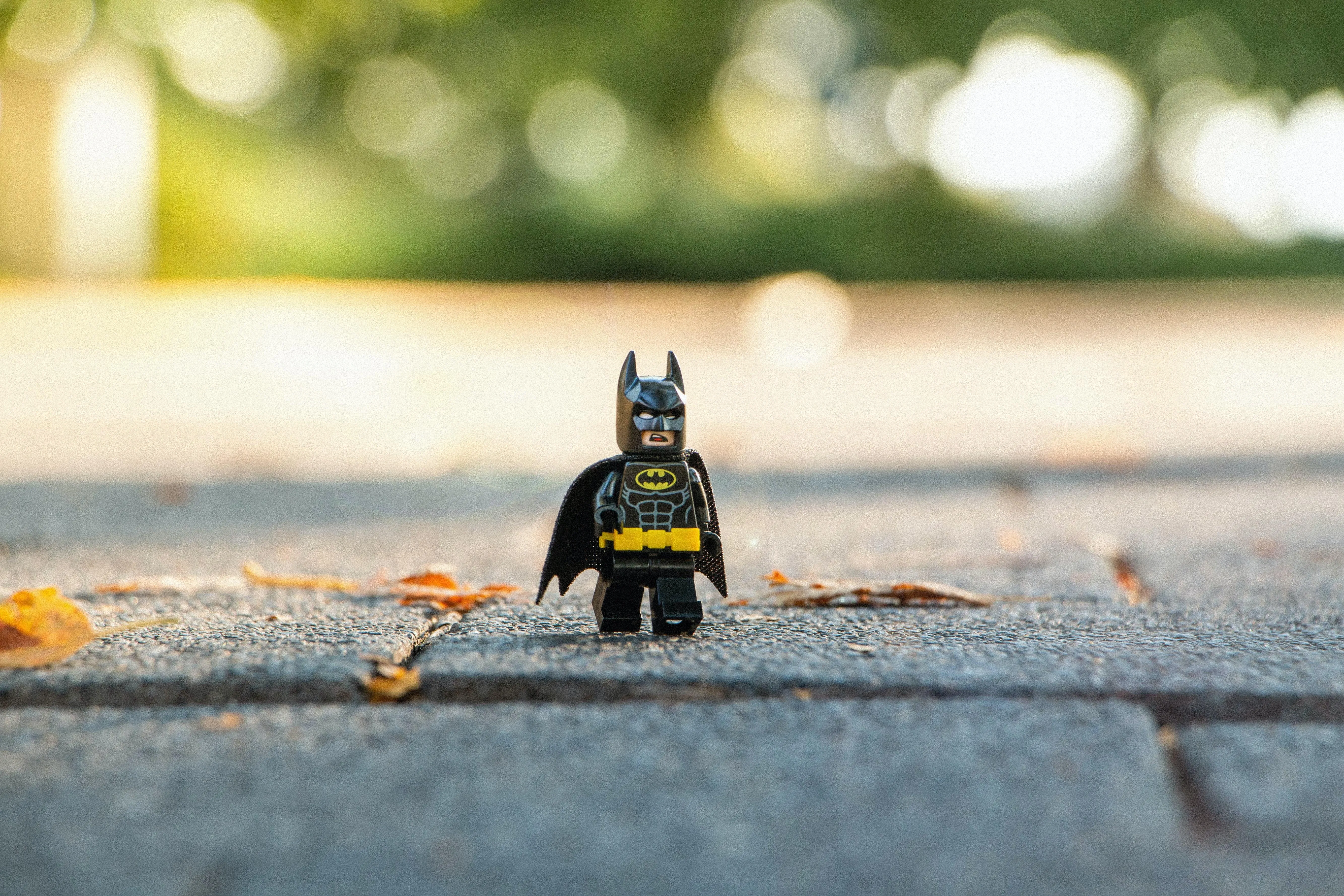 Французька поліція вийшла на слід міжнародної банди викрадачів Lego Французька поліція вийшла на слід міжнародної банди викрадачів Lego