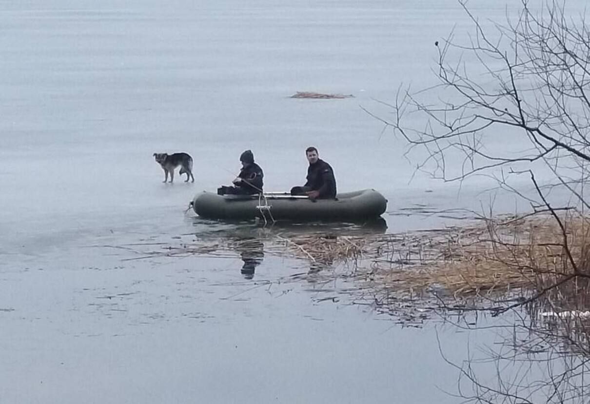 Собака на Харьковщине неделю провела на льду и чуть не утонула