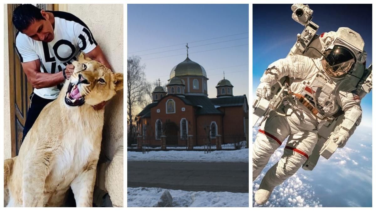 Курйози електронного декларування-2021 Курйози електронного декларування-2021