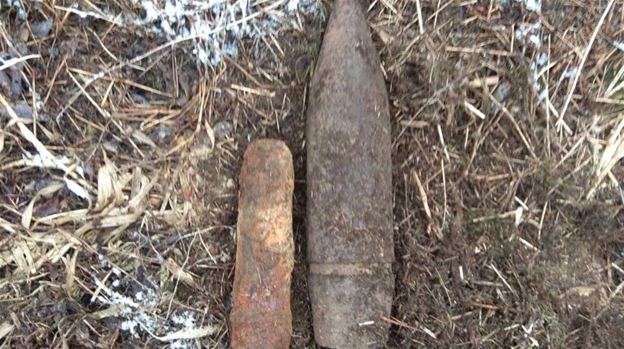 На Львівщині чоловік підірвався на боєприпасі часів Другої світової На Львівщині чоловік підірвався на боєприпасі часів Другої світової