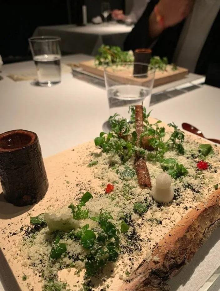 Страва на шматку дерева Страва на шматку дерева