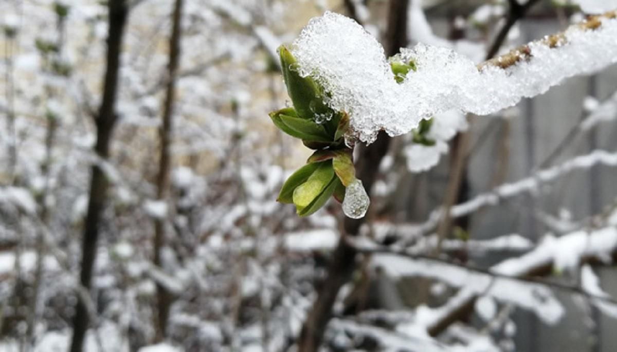 В Украине возвращается снег: где и когда ждать осадки