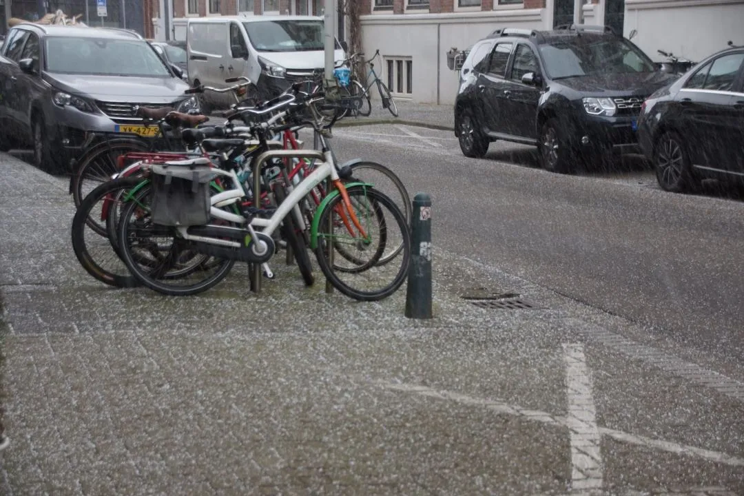 Сніг у Нідерландах Сніг у Нідерландах