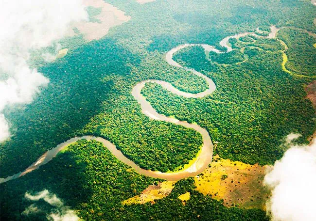 Річка Амазона Річка Амазона