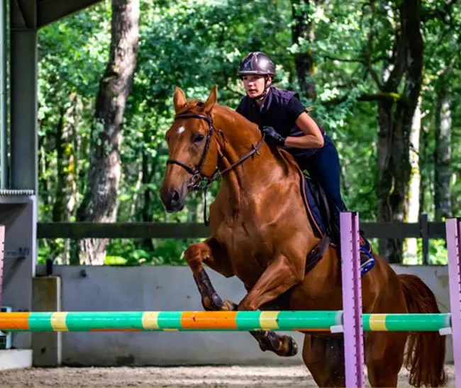 Ривок середнього коня Ривок середнього коня