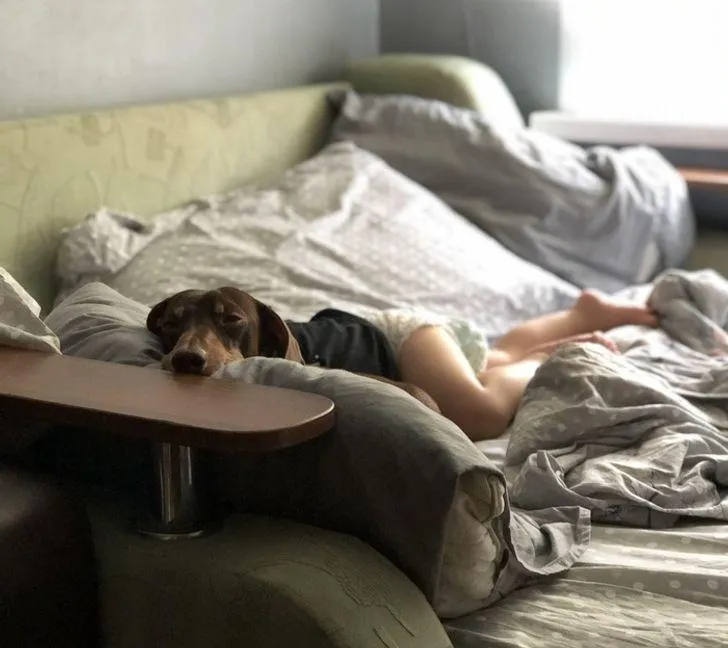 Спали міцно Спали міцно