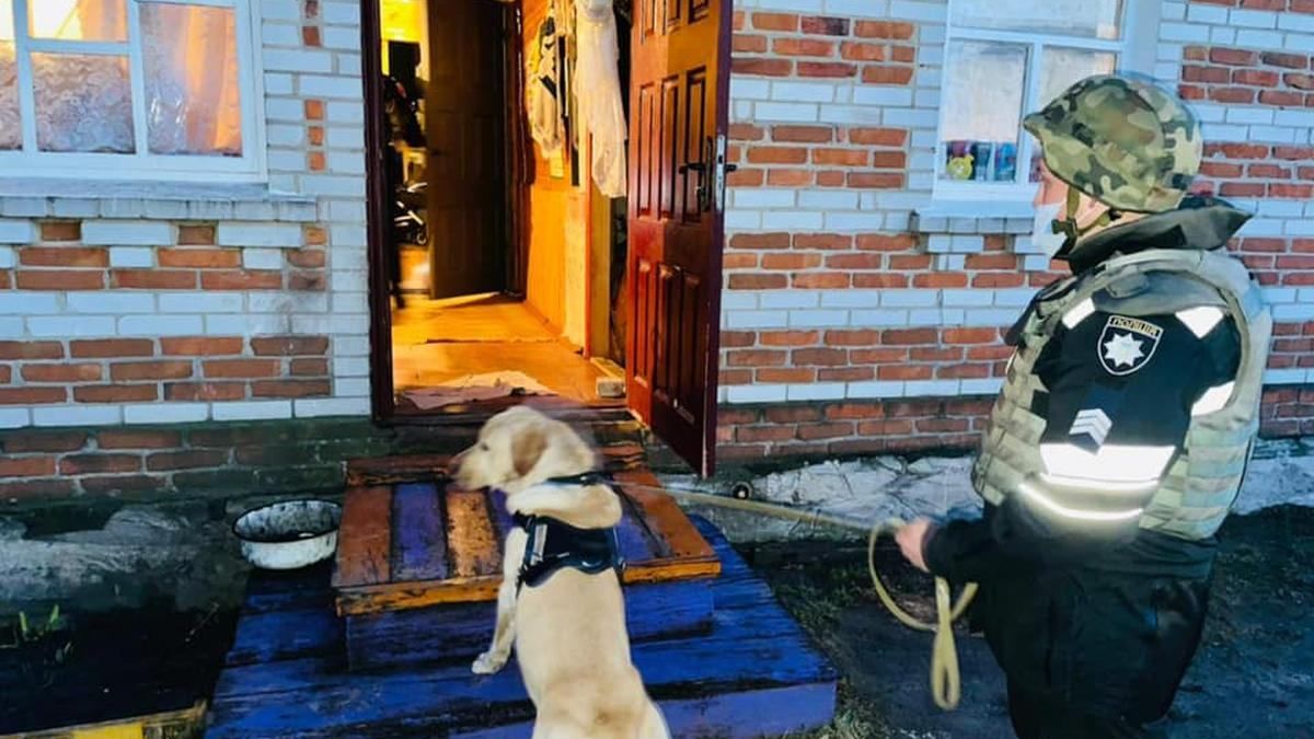 На Киевщине задержали мужчину, который сообщил о заминировании села На Киевщине задержали мужчину, который сообщил о заминировании села