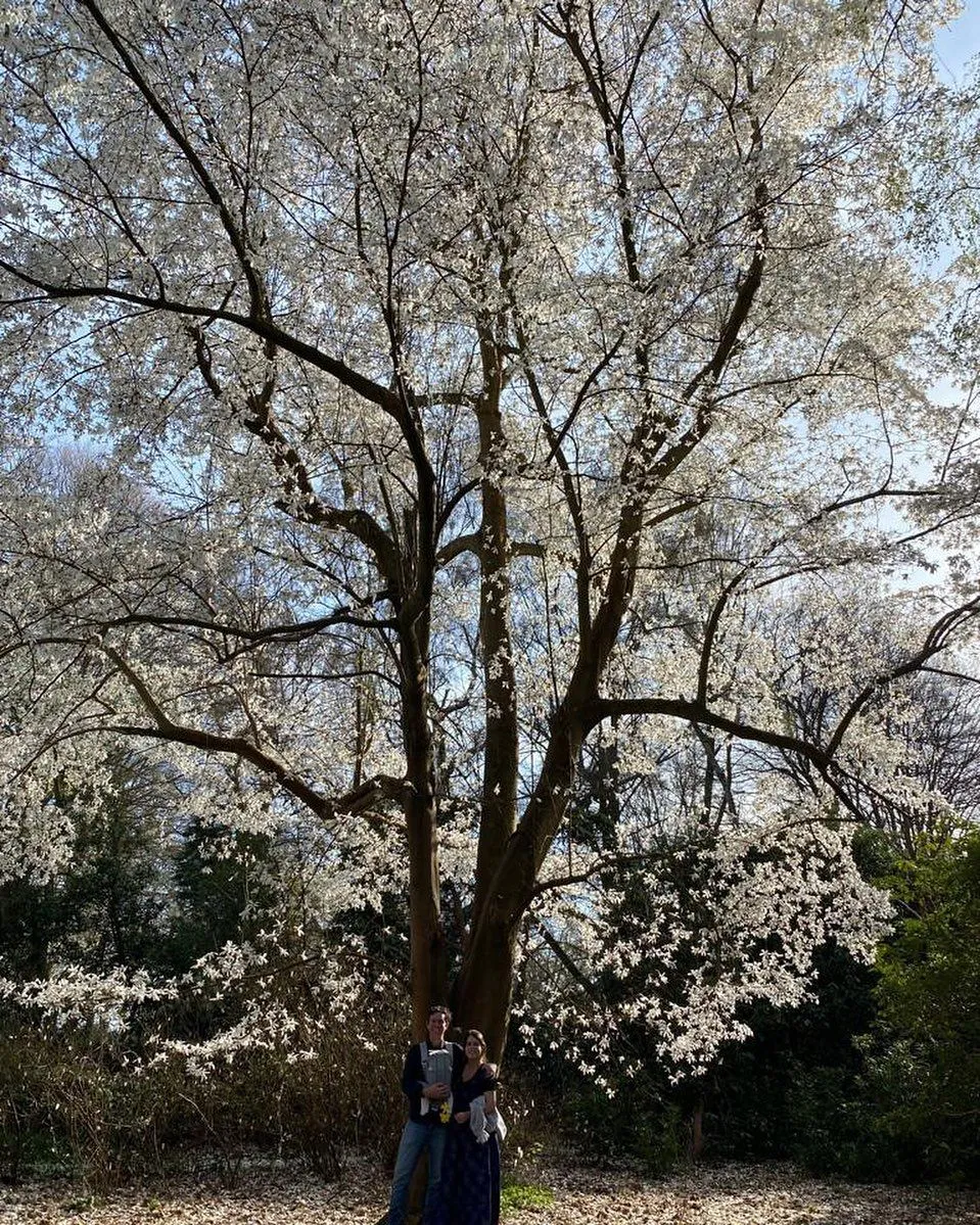 Принцеса Євгенія Принцеса Євгенія