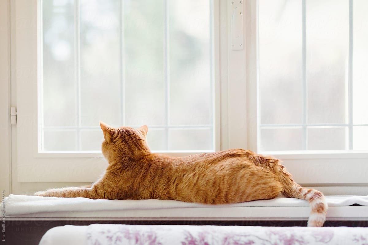 Погода 7 квітня 2021: прогноз від синоптиків України Погода 7 квітня 2021: прогноз від синоптиків України