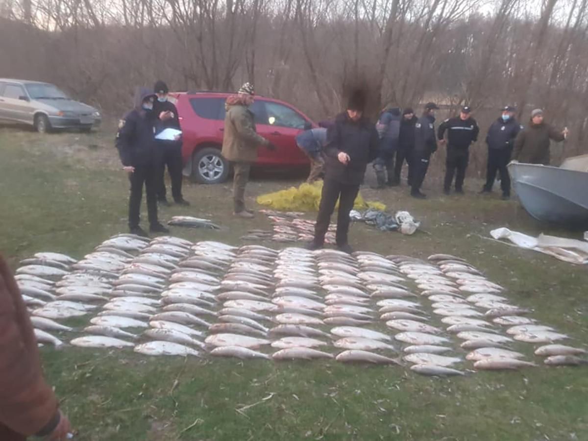 Збитків майже на 1,7 мільйона: на Буковині затримали браконьєрів риби